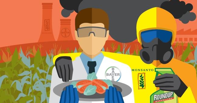 Το νέο δηλητήριο της Monsanto, λέγεται dicamba και σκοτώνει