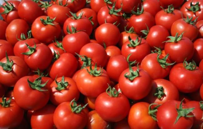 Κατασχέθηκαν 6 τόνοι ντομάτες με τόνους εντομοκτόνο