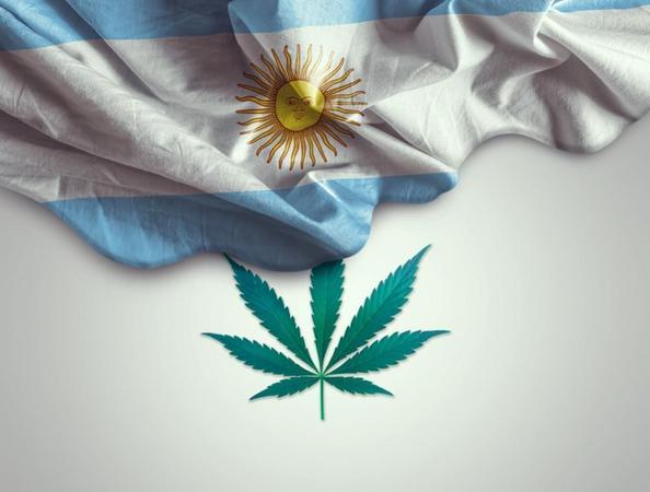 Νόμιμη και στην Αργεντινή η ιατρική κάνναβη