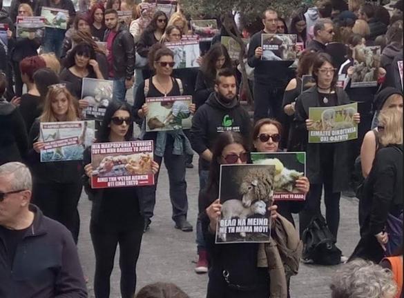 Σιωπηλή διαμαρτυρία ενάντια στο έθιμο της σφαγής των αρνιών