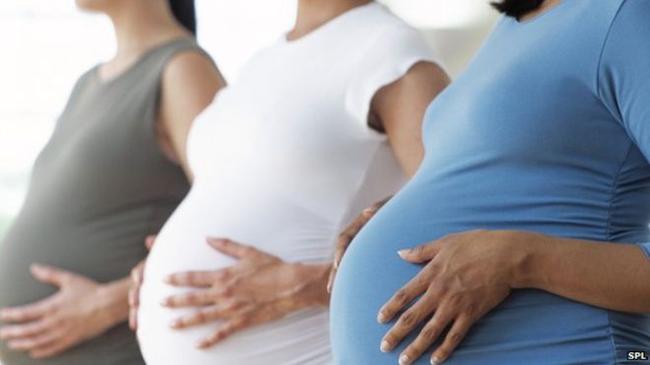 Άσχημα νέα ακόμη και για τα έμβρυα που εκτίθενται σε ζιζανιοκτόνα της Monsantο