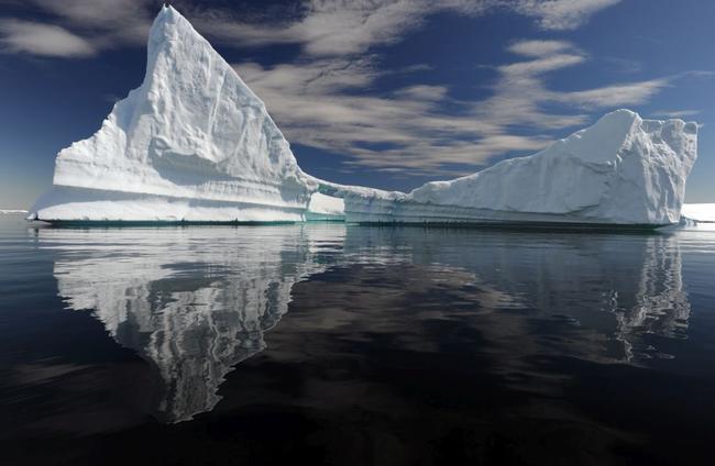 Βλέποντας μέσα από τα μάτια των φαλαινών στην Ανταρκτική [ΒΙΝΤΕΟ]