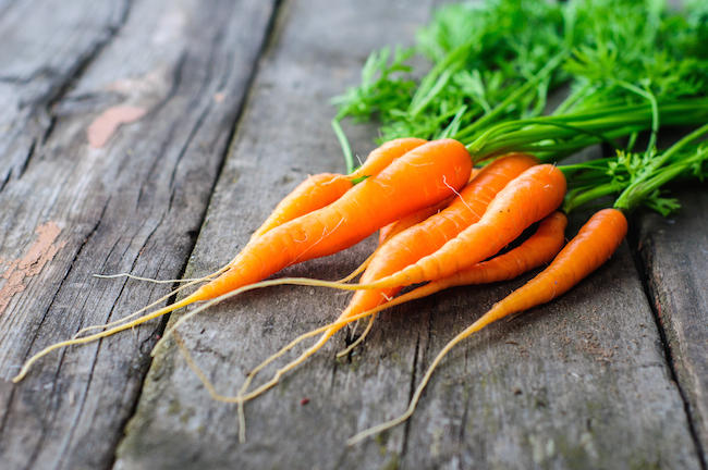 ΠΕΛΙΤΙ: Δωρεάν εγχειρίδιο παραγωγής σπόρων: Καρότο