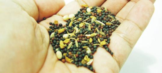 Η ποικιλομορφία των σπόρων σε κίνδυνο