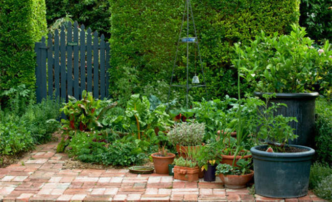 Ιούνιος: Ποιες εργασίες χρειάζεται ο κήπος μας για να τον απολαύσουμε
