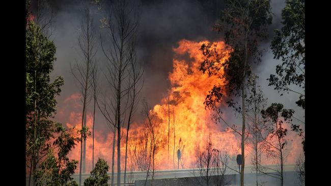 Στους 62 οι νεκροί από τη καταστροφική φωτιά στην Πορτογαλία [ΦΩΤΟ]
