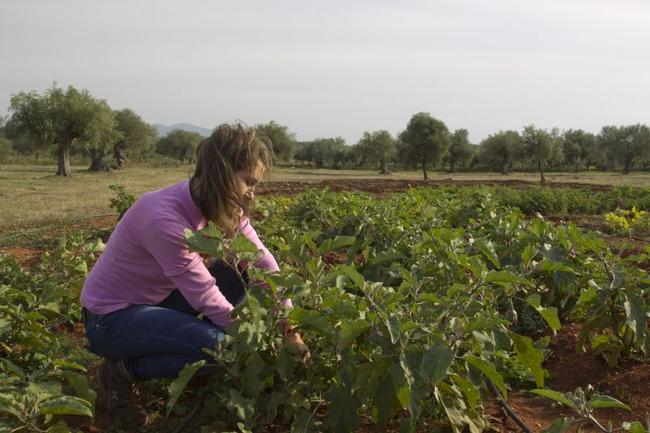 Αγροτουρισμός στην Ελλάδα: 10 καταλύματα φτιαγμένα για φυσιολάτρες