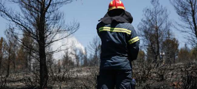 Έχασε τη μάχη ο πυροσβέστης που τραυματίστηκε στην πυρκαγιά του Ζευγολατιού