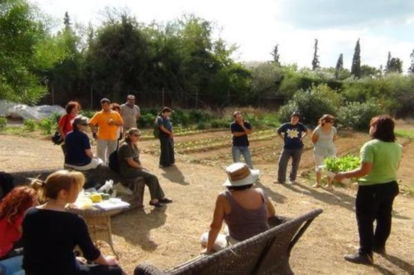Για τον Αυτοδιαχειριζόμενο Αγρό στο Ελληνικό - Του Π. Τότσικα