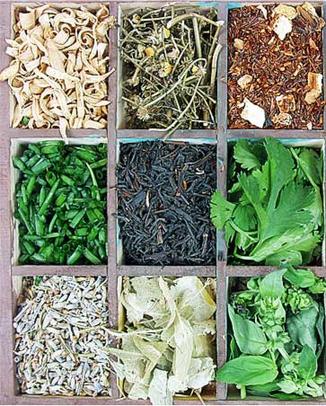 Δραματική μείωση των αρωματικών φυτών στα ελληνικά βουνά