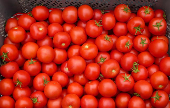 Κατασχέθηκαν 2 τόνοι ντομάτας άγνωστης προέλευσης