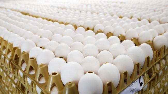 Τι αναφέρει ο ΕΦΕΤ για το διατροφικό σκάνδαλο με τα μολυσμένα αυγά στην Ευρώπη