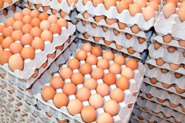 "Σκάνδαλο αυγών -και όχι μόνο- στη Β. Ευρώπη" | Της Καίτης Μυλωνά