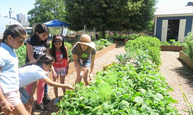 Ένα πρότυπο αστικό αγρόκτημα διδάσκει στα παιδιά πως να καλλιεργούν τη δική τους βιολογική τροφή