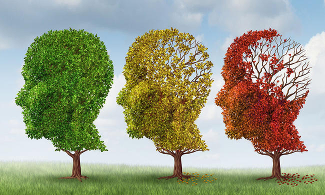 Αλτσχάιμερ: Ένα σύμπτωμα προειδοποιεί για τη νόσο πολλά χρόνια πριν αυτή εμφανιστεί
