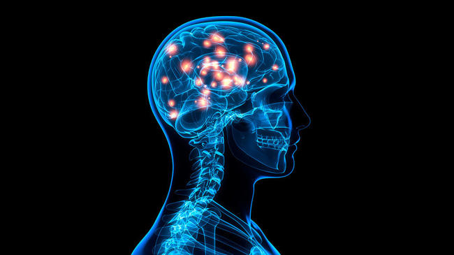 Πώς συνδέεται ο τρόπος που μασάμε με την άνοια Πώς συνδέεται ο τρόπος που μασάμε με την άνοια