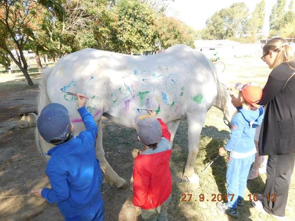 Καταγγελία: Έβαλαν παιδάκια να ζωγραφίσουν πάνω σε άσπρο άλογο