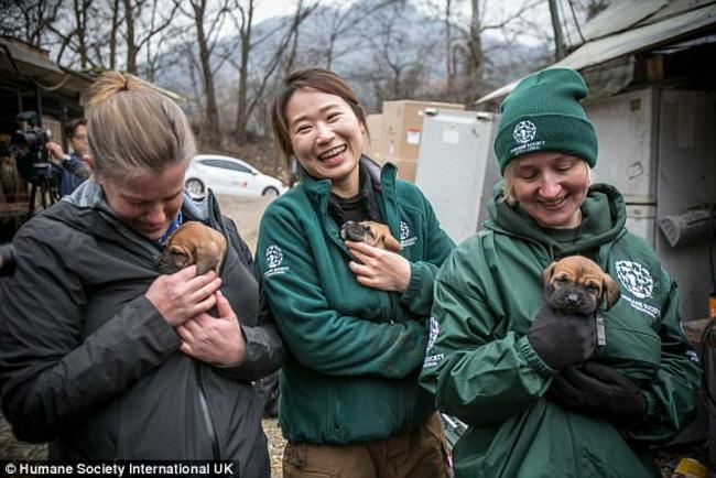 Η συγκλονιστική στιγμή διάσωσης 170 σκύλων πριν σφαγιαστούν [PHOTOS]