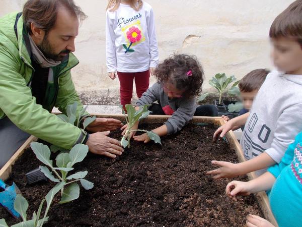 Λαχανόκηποι στους παιδικούς σταθμούς! Το παράδειγμα της Πετρούπολης