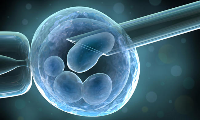 Βλαστοκύτταρα: Μπορούν να αναστρέψουν το γήρας;