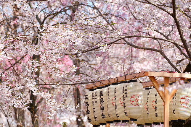 Ικιγκάι: Τα μυστικά της Ιαπωνίας για μια μακρά και ευτυχισμένη ζωή