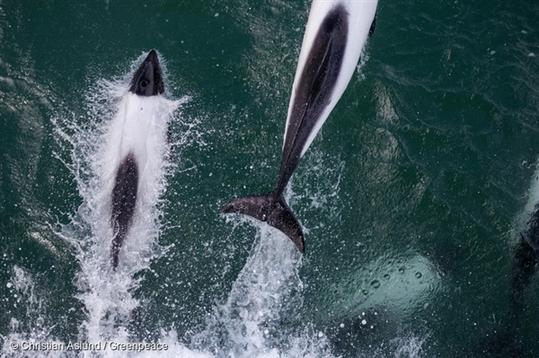 img85904_5323d1b42438a00da1aa06eb668cd540