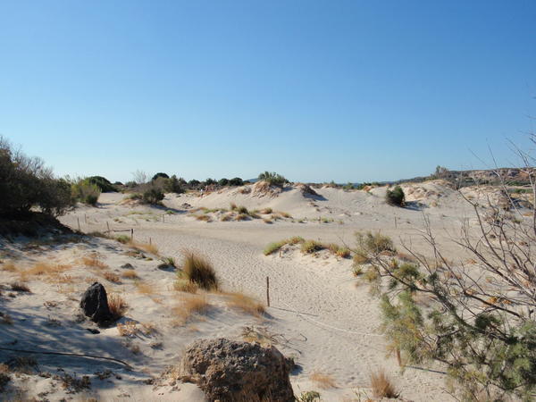 Θετικά στοιχεία αλλά και έντονη ανησυχία για τις προστατευόμενες περιοχές
