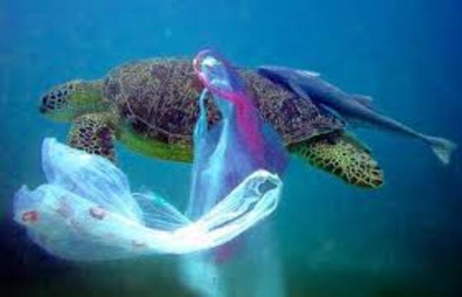 Greenpeace: Η αρχή του τέλους της ρύπανσης των θαλασσών από το πλαστικό;