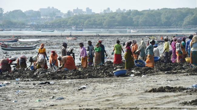 Σε παραγκούπολη της Ινδίας, εθελοντές έβγαλαν 12.000 τόνους πλαστικού από παραλία
