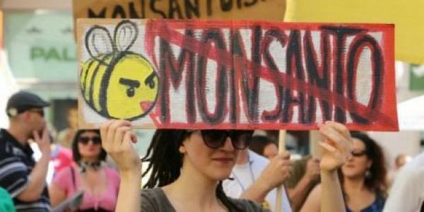 Δικαστικό ένταλμα της Monsanto στην Avaaz: Ζητά τα ονόματα όσων έχουν υπογράψει εναντίον της!
