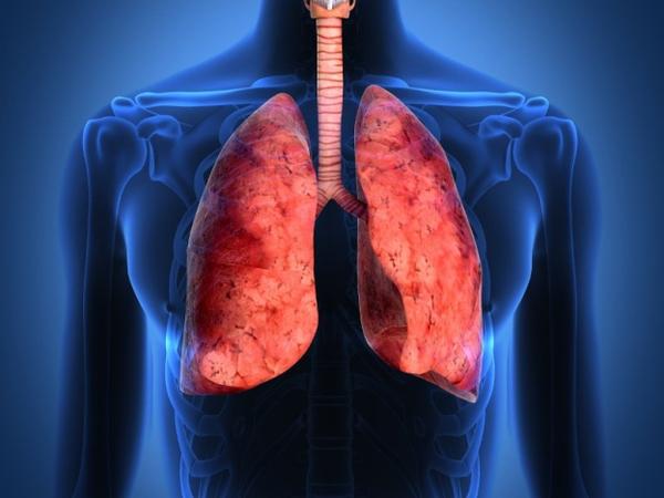 Σημαντική ανακάλυψη: Επιστήμονες αναδημιουργούν πνεύμονα με βλαστοκύτταρα