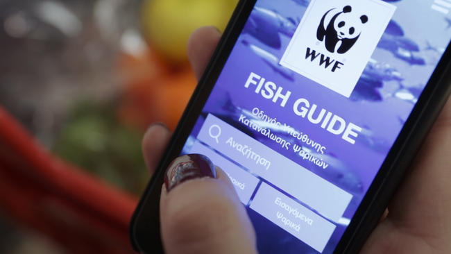 Fish Guide | Ανανεωμένος οδηγός: Ποια ψάρια καταναλώνουμε και ποια αποφεύγουμε