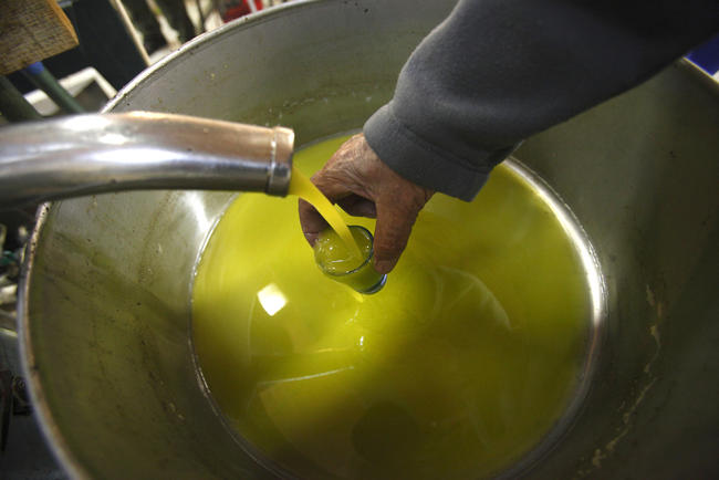 ΕΦΕΤ: Ανάκληση νοθευμένου ελαιόλαδου - Ήταν σπορέλαιο τεχνητά χρωματισμένο