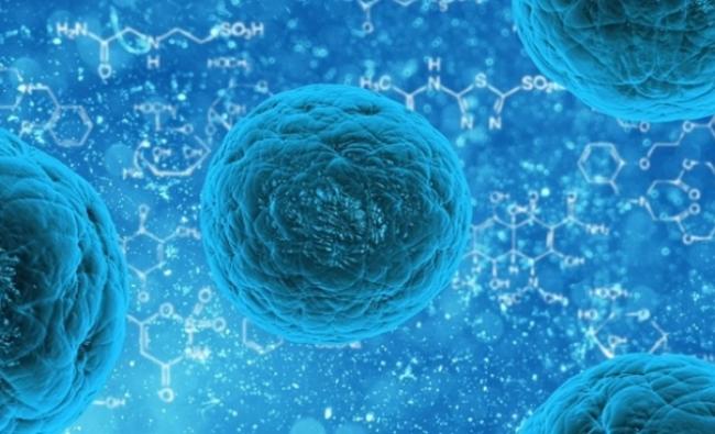 Νέες ελπίδες για την πολλαπλή σκλήρυνση χάρη στη μεταμόσχευση βλαστοκυττάρων