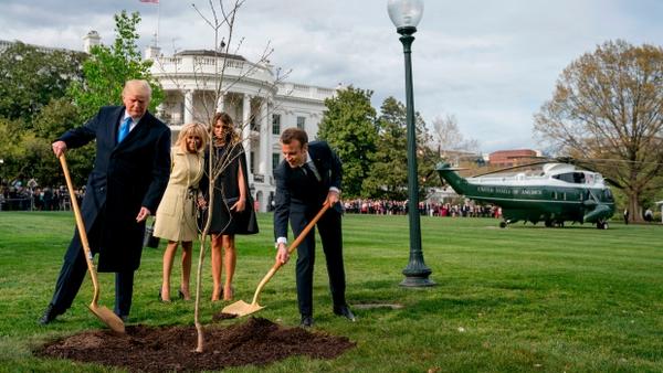 Εξαφανίστηκε το δέντρο που φύτεψαν Τραμπ και Μακρόν στον κήπο του Λευκού Οίκου. Μπήκε σε καραντίνα