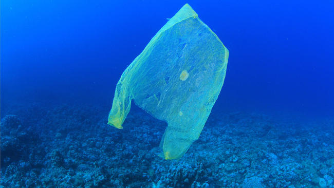 Πλαστική σακούλα βρέθηκε μέχρι και στο βαθύτερο σημείο των ωκεανών του πλανήτη μας