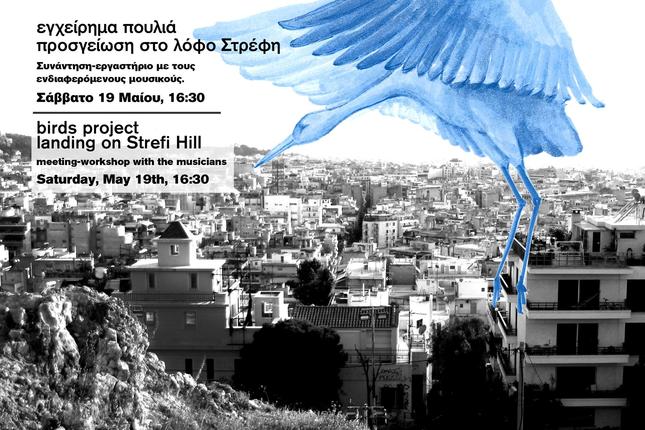 Τα Πουλιά προσγειώνονται στις ταράτσες και μεταμορφώνουν τις γειτονιές της Αθήνας
