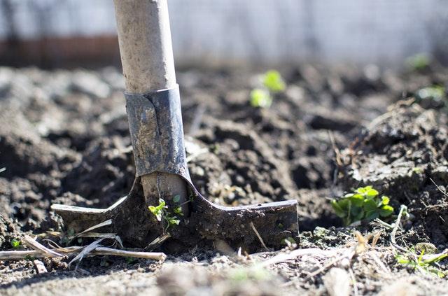 Πάνω από 300 άνεργοι και άποροι ωφελήθηκαν από τους δημοτικούς λαχανόκηπους του δήμου Νεάπολης - Συκεών