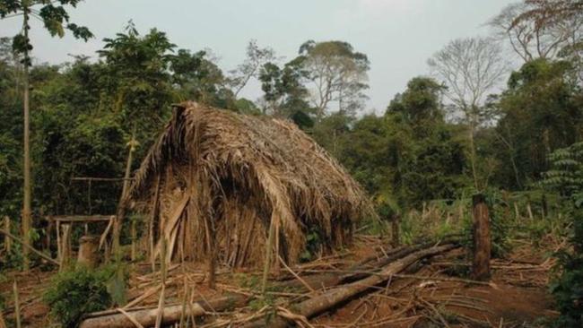Τα τελευταία 22 χρόνια ζει ολομόναχος στον Αμαζόνιο και η κρατική οργάνωση FUNAI παρακολουθεί τη ζωή του από απόσταση από το 1996 (Φωτό - Βίντεο)