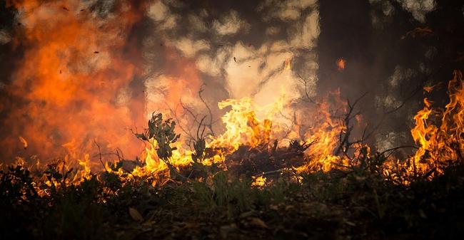 Προσοχή: Υψηλός κίνδυνος πυρκαγιάς για αύριο Δευτέρα σύμφωνα με τη ΓΓ Πολιτικής Προστασίας