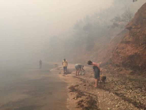 Η Ελλάδα πενθεί! Συγκλονιστικές φωτογραφίες και πλάνα από την καταστροφική πυρκαγιά - Η επόμενη μέρα - Video από Drone