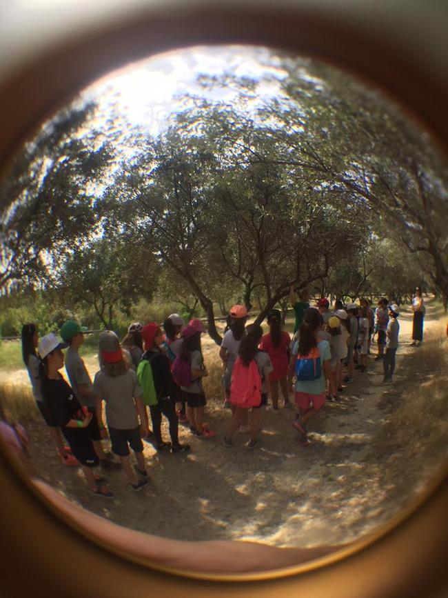 Θερινό σχολείο στο πάρκο Αντώνης Τρίτσης για τα παιδιά που δεν θα πάνε διακοπές