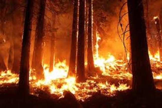 Στο έλεος της φωτιάς η Καλιφόρνια - Δύο νεκροί, 8 τραυματίες, 38.000 εγκατέλειψαν τα σπίτια τους