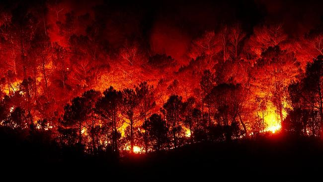 7.000 άνθρωποι απομακρύνθηκαν από τα σπίτια τους λόγω της «ταχείας επέκτασης» της πυρκαγιάς στην νότια Καλιφόρνια