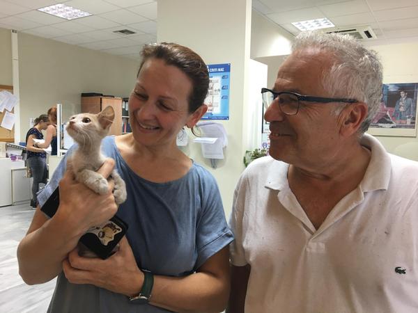 Η Protect Animals Greece καλύπτει τα έξοδα για την προετοιμασία υιοθεσίας των πυρόπληκτων ζώων