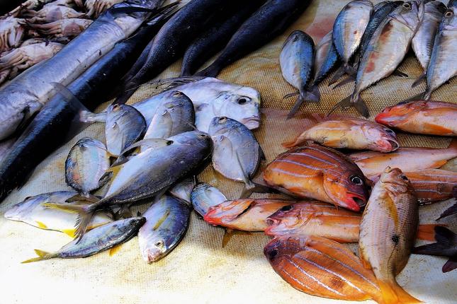 H αρνητική πλευρά των ψαριών - Τι επηρεάζει την υγεία μας - Τι πρέπει να προσέχουμε