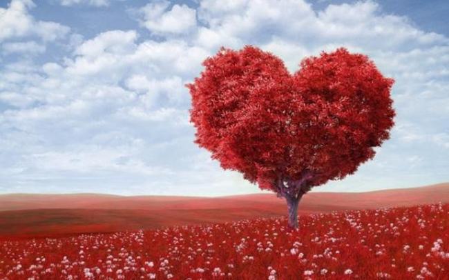 Πέντε βήματα για γερή καρδιά ενόψει της αυριανής Παγκόσμιας Ημέρας Καρδιάς