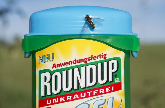 Στα 78 εκατ. δολάρια τελικά η αποζημίωση που καταβάλει η Monsanto στον κηπουρό για πρόκληση καρκίνου λόγω του Roundup