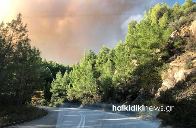 Ανεξέλεγκτη η φωτιά στην Σιθωνία Χαλκιδικής - Χωριά χωρίς ρεύμα και τηλέφωνο - Ενισχύονται οι δυνάμεις