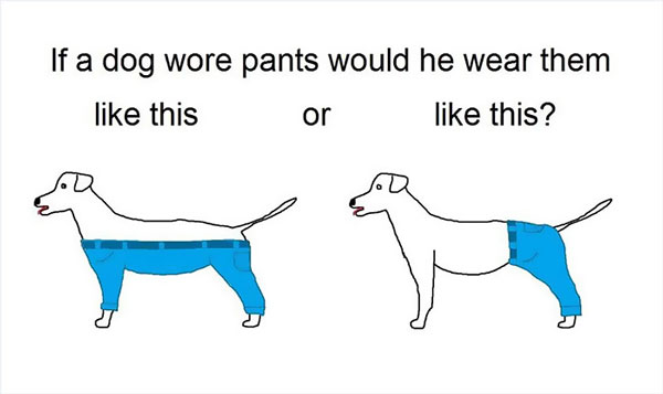perierga.gr - Ώρα για... σοβαρές ερωτήσεις. Πώς θα έπρεπε να ντύνονται τα ζώα;